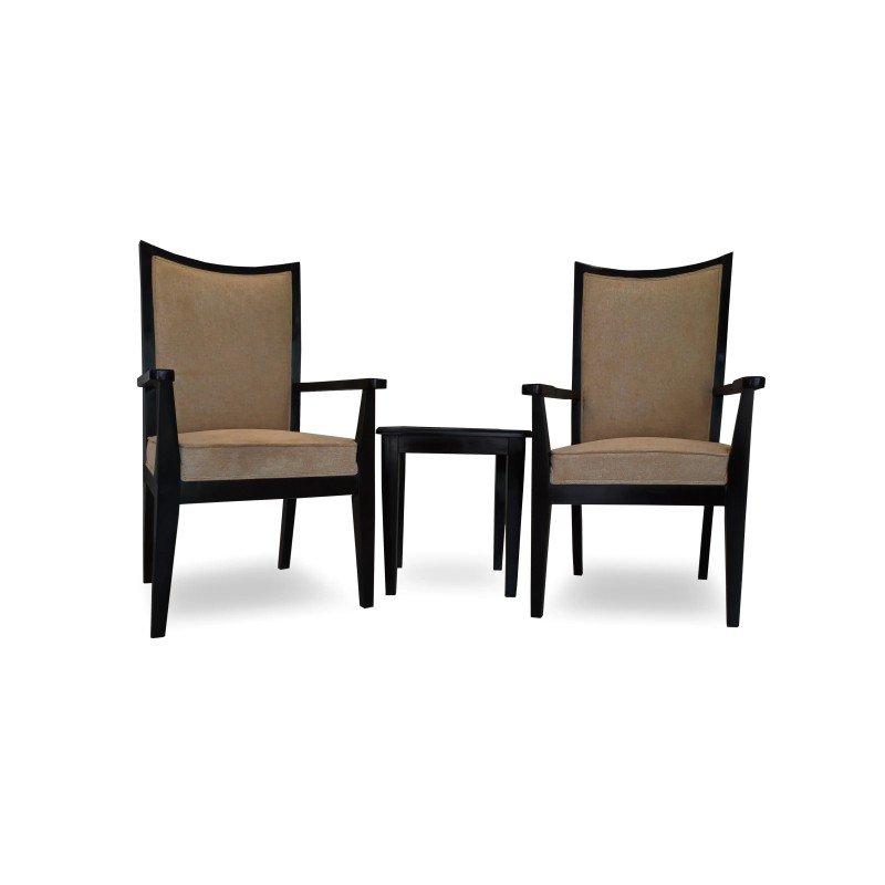 afonso drawing room chairs with centre table hd bdc 005